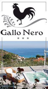 Hotel Gallo Nero